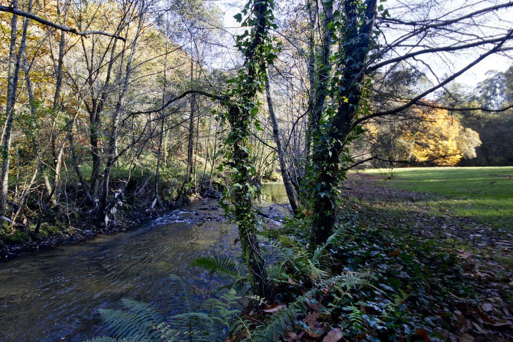 Gasthaus Quinta De Mouraes Casa Dos Rododendros Lever Exterior foto
